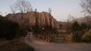 LumixSync_copy_2022-08-24-11_05_22--0000JpegFile